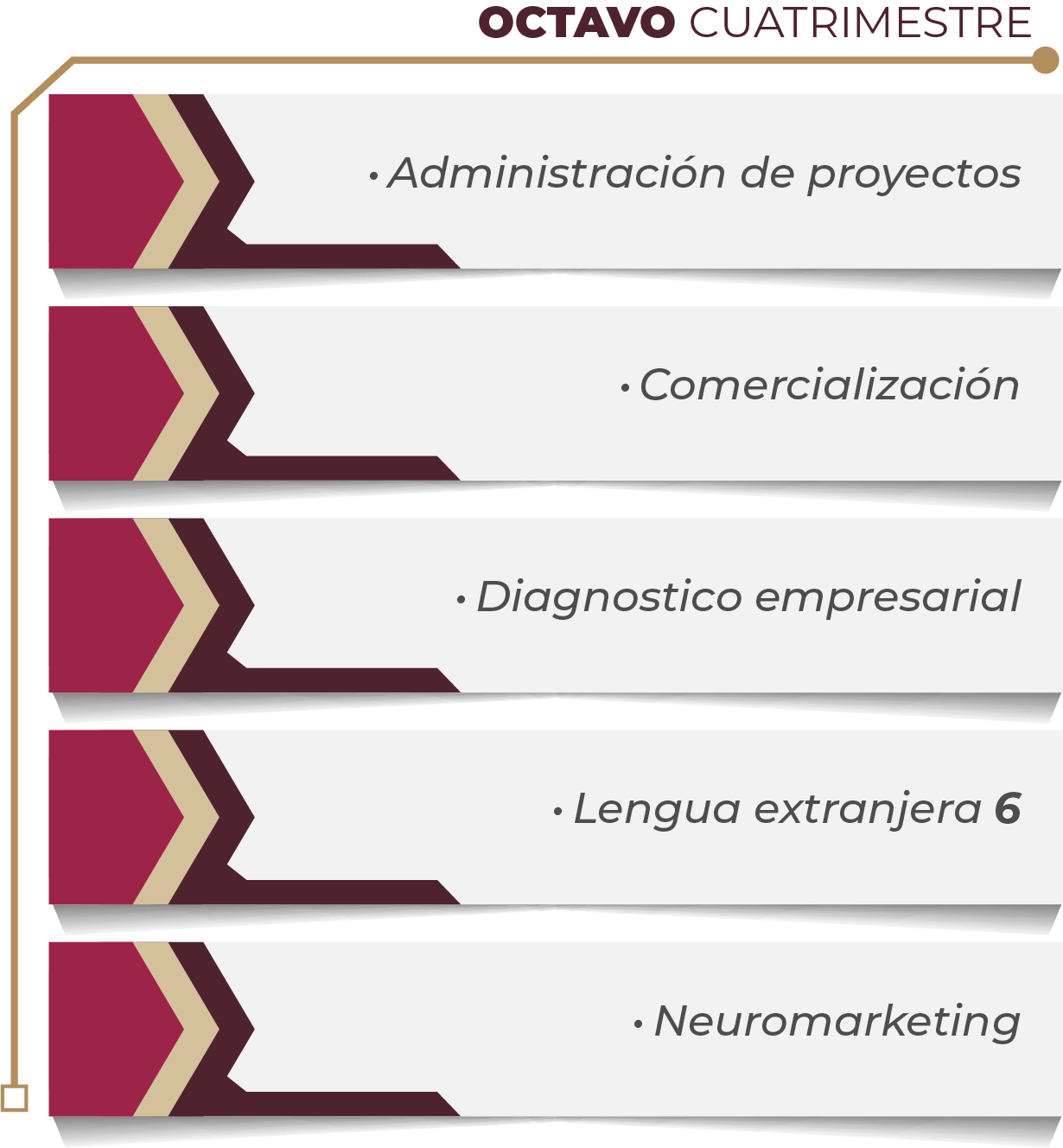 MAPA CURRICULAR GESTIÓN